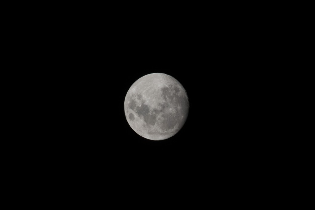 DSC_4368-2