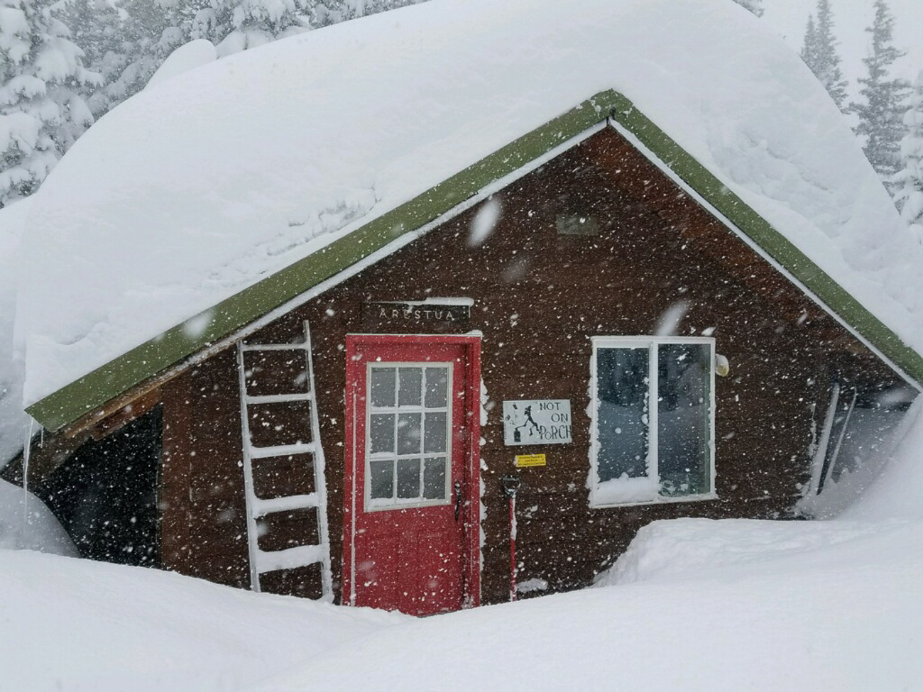 A Lesson in Snowshoeing